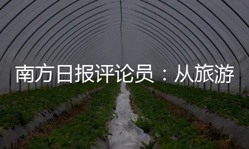 见证文旅市场欣欣向荣