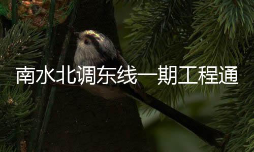 东线强化工程运行监管