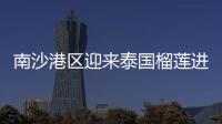 快排公司十年历程，霸屏兔 seo 的崛起与坚守