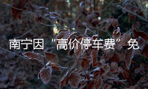价停车费进行组织调整