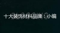 十大装饰材料品牌
：小编诠释装饰材料的视觉语言要素