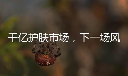 开辟新战场的千亿下一个风口