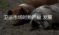 卫浴市场时势严峻 发展步伐慢下来会是一个什么转变?