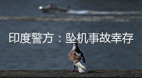据《印度教徒报》13日报道