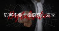 危害不亚于毒蘑菇，夏季吃海鲜小心贝类中毒
