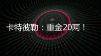 卡特彼勒
：重金20两！拿下
！