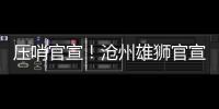 快排公司十年历程，霸屏兔 seo 的崛起与坚守