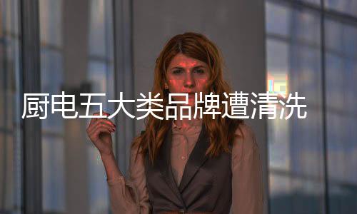 新晋品牌都超过30个