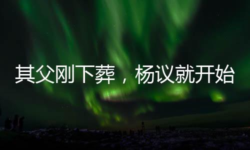 后来这消息传到杨议耳朵里