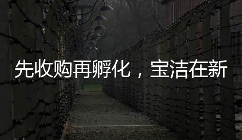自有品牌短板频现