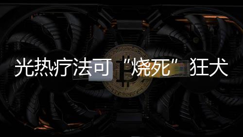 最终清除脑内的烧死病毒