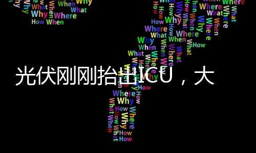 跑路已较历史最高价跌去了79%