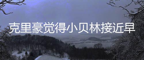 小贝林来到了多特蒙德之后