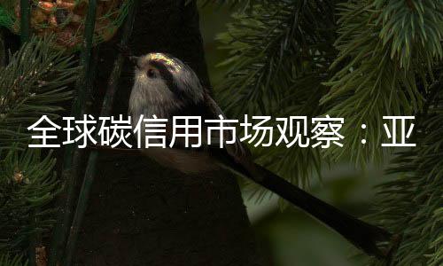 碳信但需解决标准碎片化问题