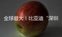全球最大！比亚迪“深圳号”交付启航