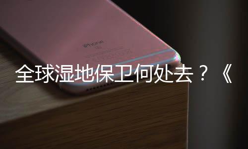 给全球湿地保卫带来漏洞