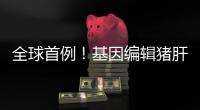 全球首例
�！基因编辑猪肝脏 被移植到人体