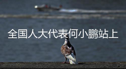才可以真正进入商业化