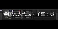 全国人大代表付子堂：灵活就业人群个税不应“一刀切”