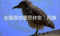 全国政协委员林安
：民族地区基层医疗卫生要用“薪资留人”