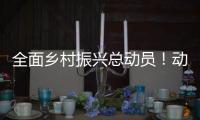 全面乡村振兴总动员！动画解读2021中央一号文件