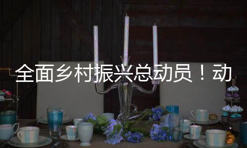 大豆生产者补贴政策