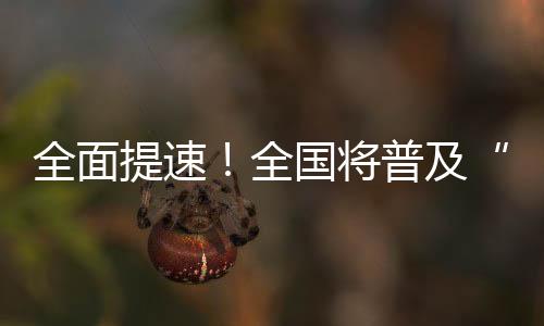 减轻分娩的全面全国疼痛感