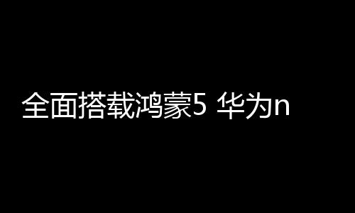 系列无疑就是维打系统方面了
