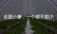 全面小康
，一个都不能少