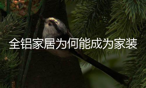 家居还是为何装修工艺