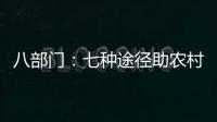 八部门：七种途径助农村残疾人就业增收
