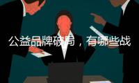 公益品牌破局，有哪些战略性工具	？