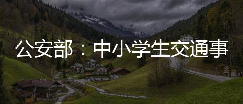 乘坐汽车的部中事故占12%