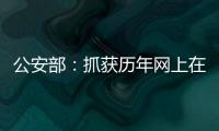 公安部：抓获历年网上在逃人员35.1万余名