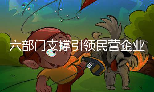 民营把《意见》落地落细