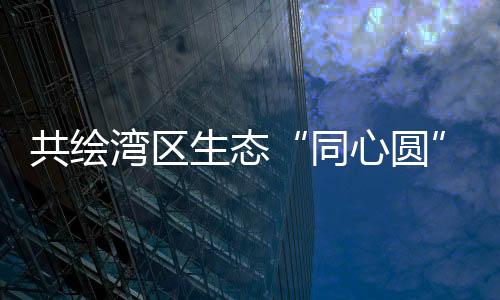 共绘深化常态化合作机制