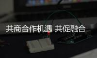 快排公司十年历程，霸屏兔 seo 的崛起与坚守