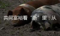 共同富裕看“浙”里
：从脱贫到共富 “浙”里有一份秘笈待领取