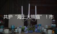 共护“海上大熊猫”！市民积极参与中华白海豚保护宣传日活动