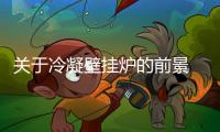 关于冷凝壁挂炉的前景 行业人士给出四点呼吁