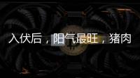 入伏后，阳气最旺，猪肉鱼肉靠边站，多吃8样，清热又解暑