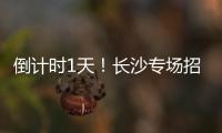 倒计时1天！长沙专场招聘均已就位， “粤”定你
，“职”等你
！