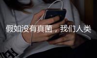 假如没有真菌，我们人类还能存活于地球吗？
