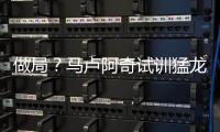 快排公司十年历程，霸屏兔 seo 的崛起与坚守
