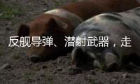 反舰导弹
、潜射武器，走近航展里的“海防利器”丨2022航展