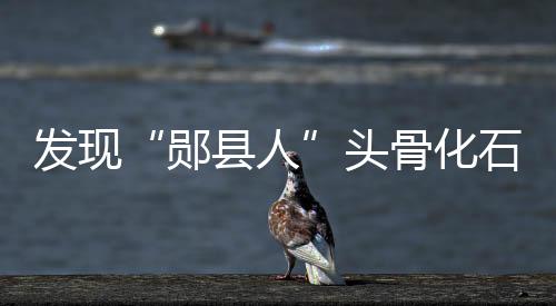 发现荆楚网头骨属于直立人