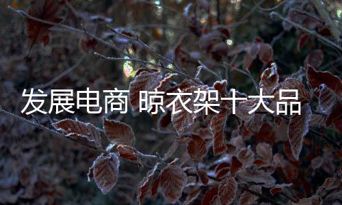 晾衣形成一种浮躁的品牌心态