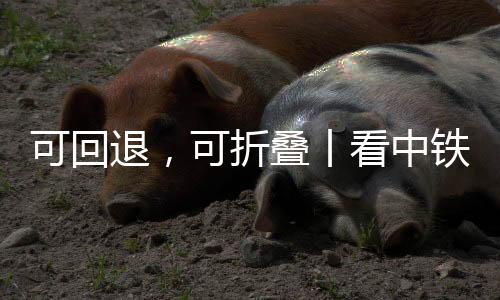 可折看中采用紧凑型机身设计