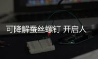 快排公司十年历程，霸屏兔 seo 的崛起与坚守