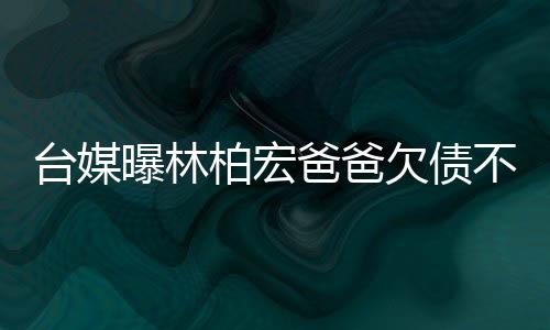 台媒二伯请他劝父亲处理债务